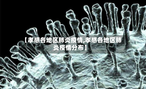 【孝感各地区肺炎疫情,孝感各地区肺炎疫情分布】