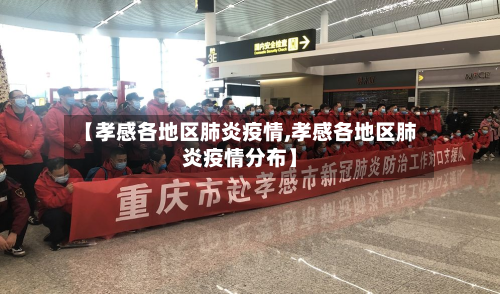 【孝感各地区肺炎疫情,孝感各地区肺炎疫情分布】-第2张图片