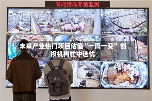 未来产业热门项目估值“一周一变” 创投机构忙中选优-第2张图片