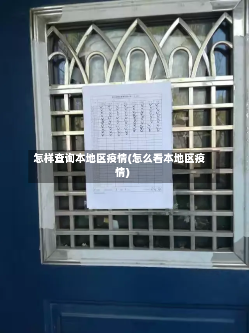 怎样查询本地区疫情(怎么看本地区疫情)