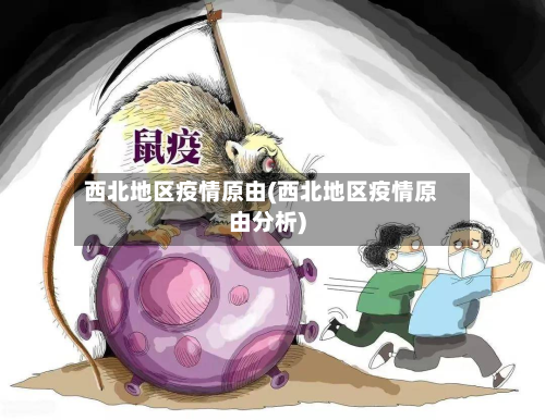 西北地区疫情原由(西北地区疫情原由分析)-第3张图片