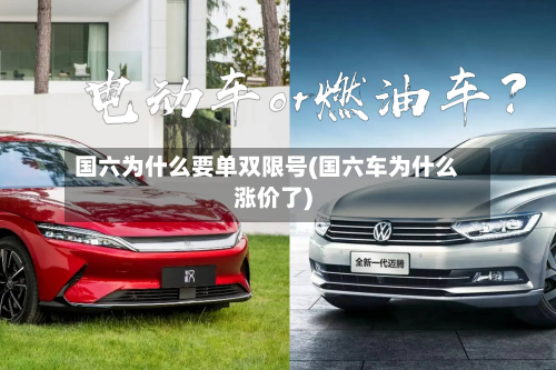 国六为什么要单双限号(国六车为什么涨价了)