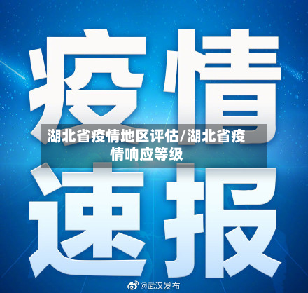 湖北省疫情地区评估/湖北省疫情响应等级
