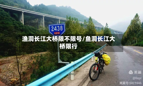 渔洞长江大桥限不限号/鱼洞长江大桥限行-第2张图片