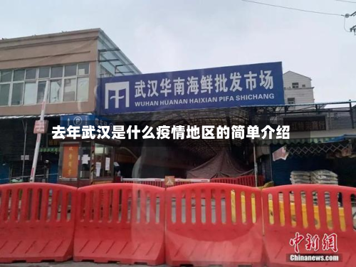 去年武汉是什么疫情地区的简单介绍
