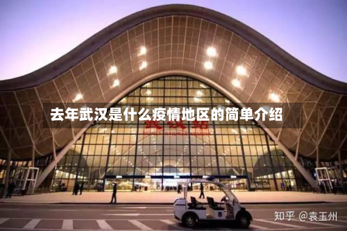 去年武汉是什么疫情地区的简单介绍-第2张图片
