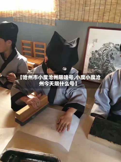 【沧州市小度沧州限啥号,小度小度沧州今天限什么号】-第2张图片