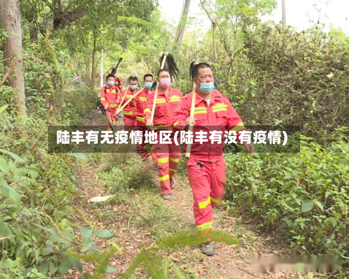陆丰有无疫情地区(陆丰有没有疫情)
