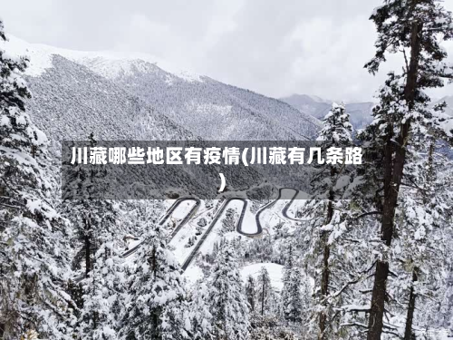 川藏哪些地区有疫情(川藏有几条路)