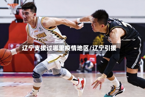 辽宁支援过哪里疫情地区/辽宁引援