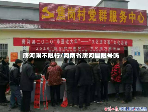唐河限不限行/河南省唐河县限号吗-第1张图片