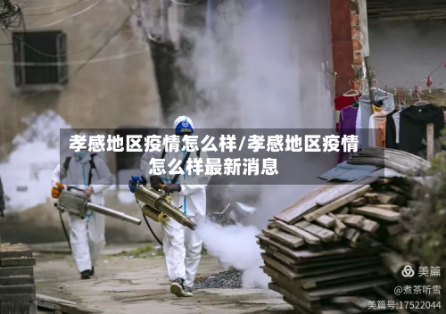 孝感地区疫情怎么样/孝感地区疫情怎么样最新消息-第3张图片