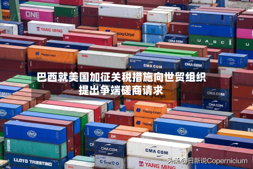 巴西就美国加征关税措施向世贸组织提出争端磋商请求-第3张图片