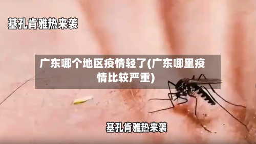 广东哪个地区疫情轻了(广东哪里疫情比较严重)