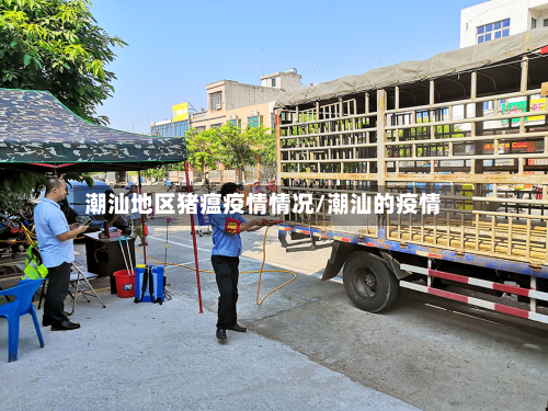 潮汕地区猪瘟疫情情况/潮汕的疫情-第3张图片