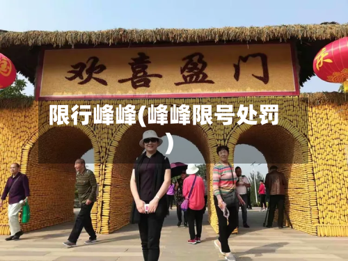 限行峰峰(峰峰限号处罚)-第2张图片
