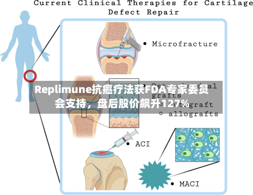 Replimune抗癌疗法获FDA专家委员会支持，盘后股价飙升127%-第2张图片