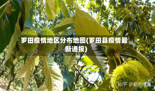 罗田疫情地区分布地图(罗田县疫情最新通报)-第1张图片