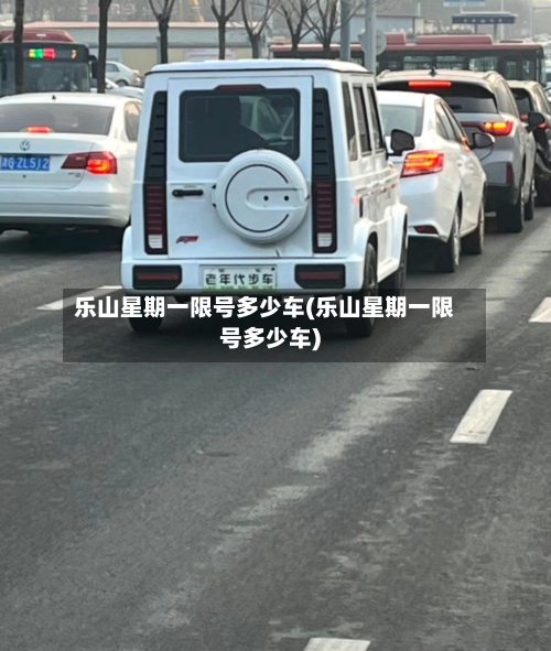 乐山星期一限号多少车(乐山星期一限号多少车)-第3张图片