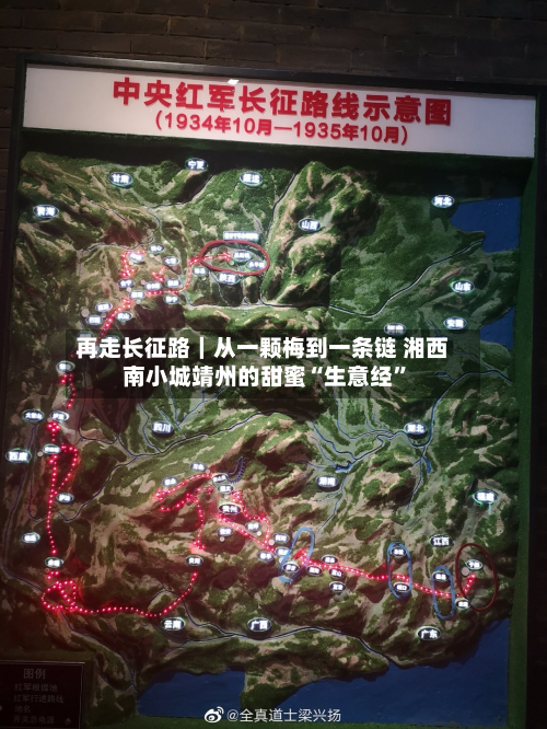 再走长征路｜从一颗梅到一条链 湘西南小城靖州的甜蜜“生意经”