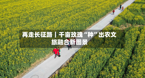 再走长征路｜千亩玫瑰“种	”出农文旅融合新图景-第2张图片