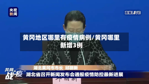 黄冈地区哪里有疫情病例/黄冈哪里新增3例-第1张图片