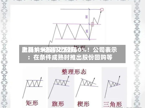 胜科纳米股价比较高
上涨1.5倍后又下跌60%!公司表示:在条件成熟时推出股份回购等-第1张图片