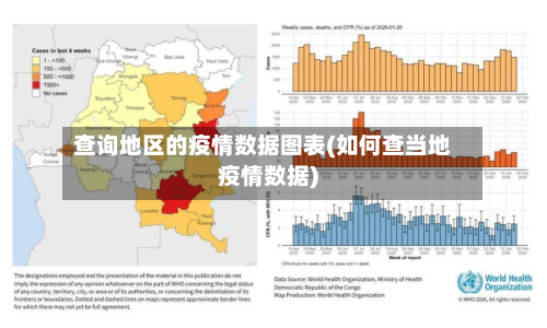 查询地区的疫情数据图表(如何查当地疫情数据)-第1张图片