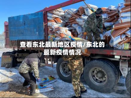 查看东北最新地区疫情/东北的最新疫情情况-第1张图片