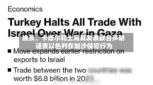 埃及、卡塔尔和土耳其发表联合声明 谴责以色列在加沙侵犯行为-第2张图片