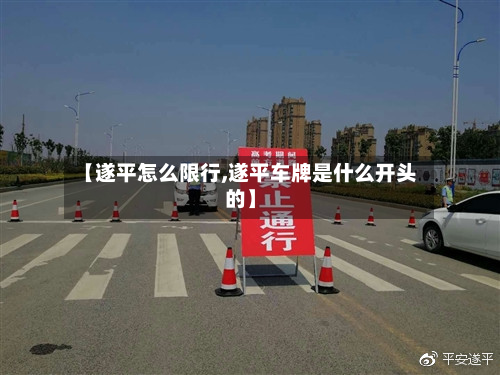 【遂平怎么限行,遂平车牌是什么开头的】-第3张图片