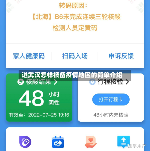 进武汉怎样报备疫情地区的简单介绍-第3张图片