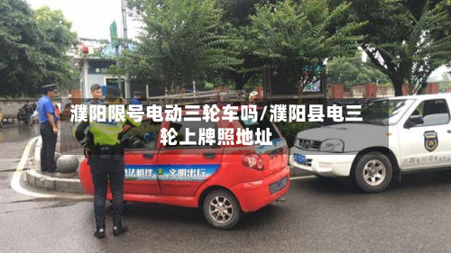 濮阳限号电动三轮车吗/濮阳县电三轮上牌照地址-第1张图片