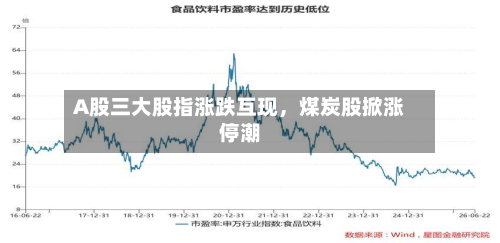 A股三大股指涨跌互现，煤炭股掀涨停潮-第2张图片