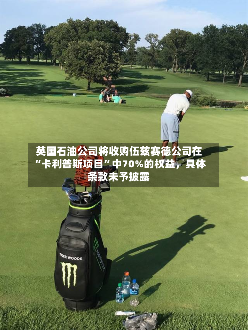 英国石油公司将收购伍兹赛德公司在“卡利普斯项目”中70%的权益，具体条款未予披露-第2张图片