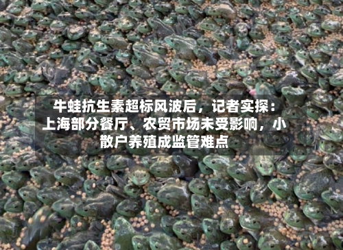 牛蛙抗生素超标风波后	，记者实探：上海部分餐厅、农贸市场未受影响，小散户养殖成监管难点-第3张图片