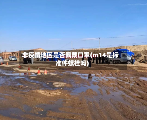 非疫情地区是否佩戴口罩(m14是标准件螺栓吗)-第2张图片