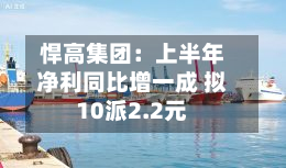 悍高集团:上半年净利同比增一成 拟10派2.2元-第2张图片