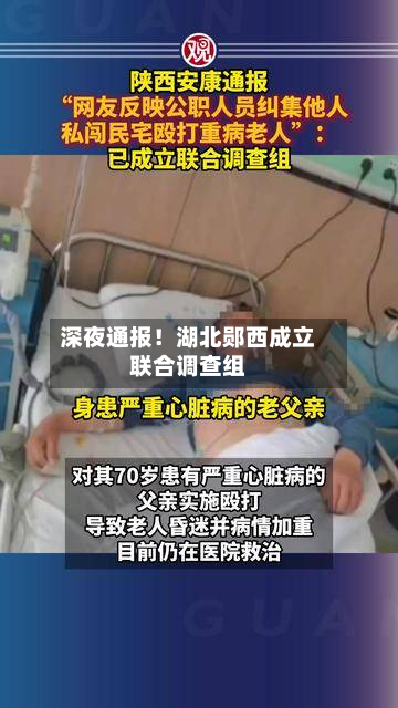 深夜通报!湖北郧西成立联合调查组-第1张图片