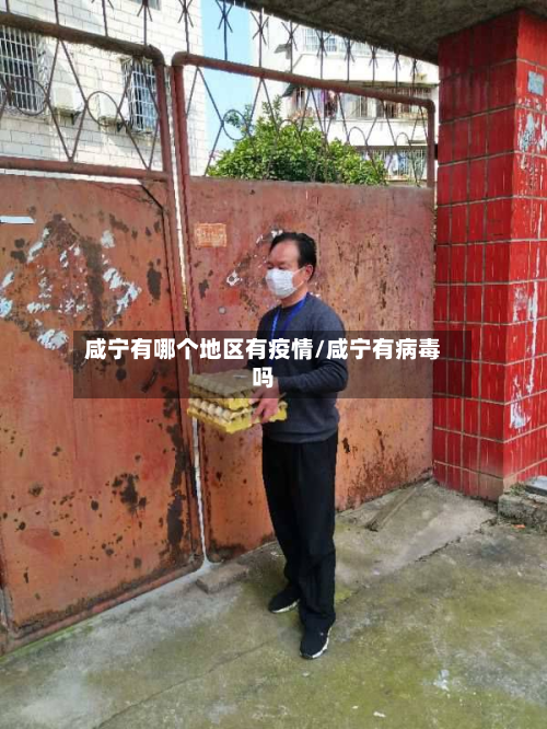 咸宁有哪个地区有疫情/咸宁有病毒吗-第1张图片