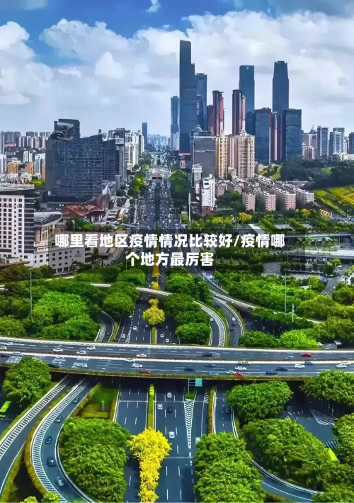 哪里看地区疫情情况比较好/疫情哪个地方最厉害