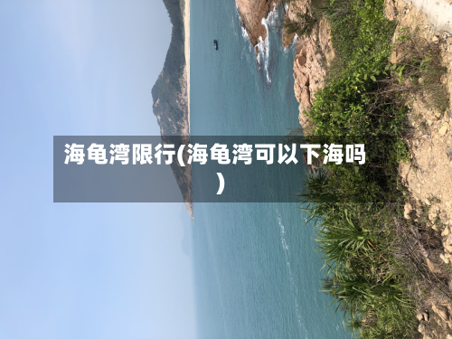 海龟湾限行(海龟湾可以下海吗)-第2张图片