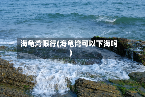 海龟湾限行(海龟湾可以下海吗)