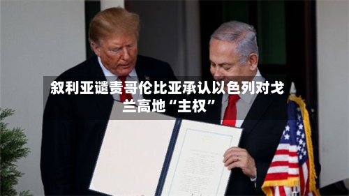 叙利亚谴责哥伦比亚承认以色列对戈兰高地“主权”-第3张图片