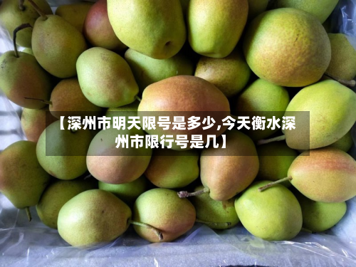 【深州市明天限号是多少,今天衡水深州市限行号是几】-第1张图片