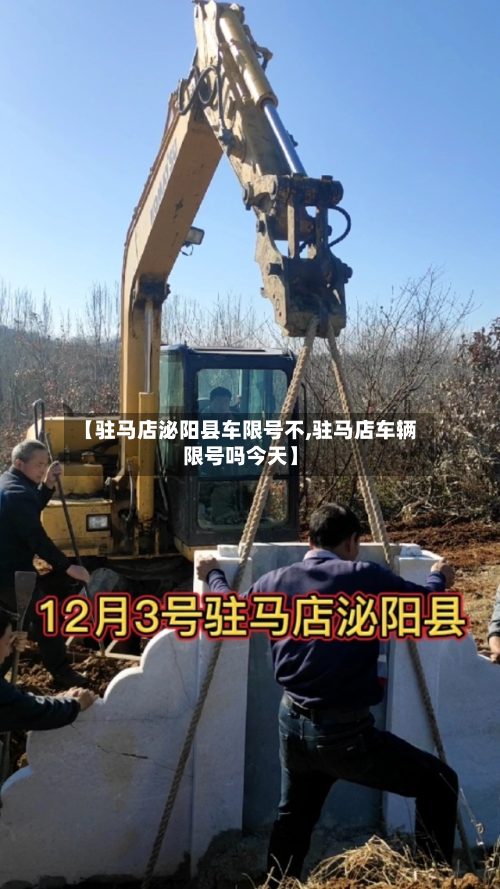 【驻马店泌阳县车限号不,驻马店车辆限号吗今天】-第1张图片