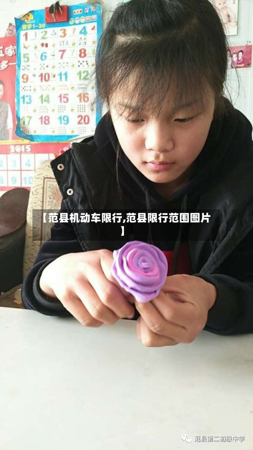 【范县机动车限行,范县限行范围图片】-第1张图片