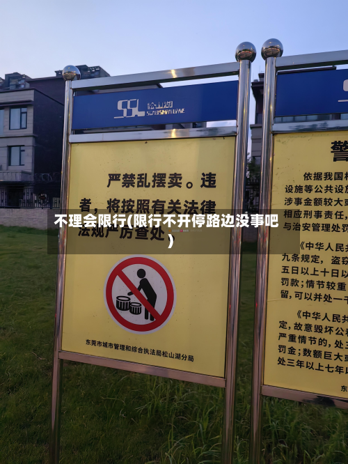 不理会限行(限行不开停路边没事吧)-第3张图片