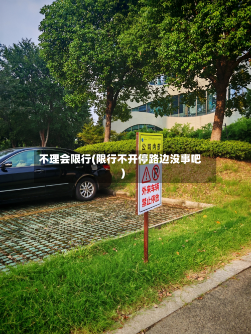不理会限行(限行不开停路边没事吧)