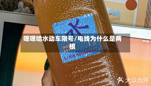 嗯嗯哈水动车限号/电线为什么是两根